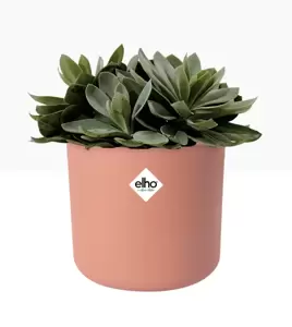 elho b.for Soft Delicate Pink Pot - Ø16cm - image 2