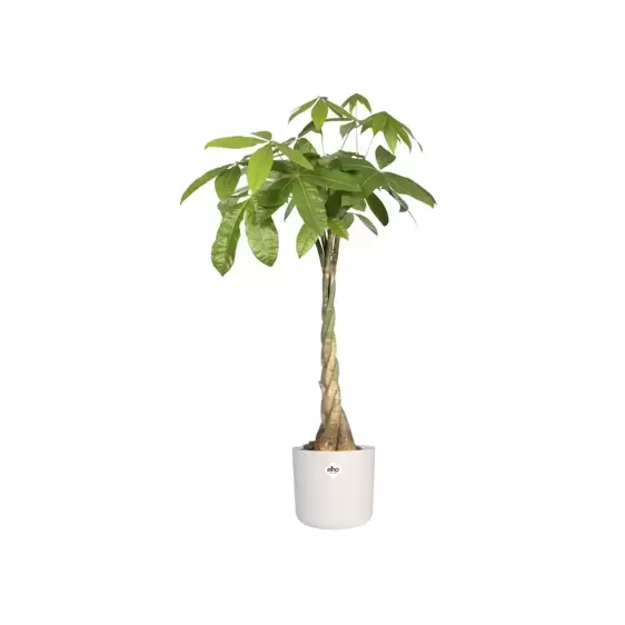 elho b.for Soft White Pot - Ø14cm - image 3