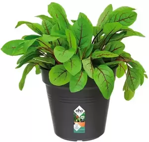 elho® Green Basics Growpot 15cm Living Black - image 2