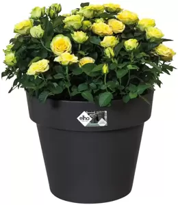 elho® Green Basics Top Planter 23cm Living Black - image 2