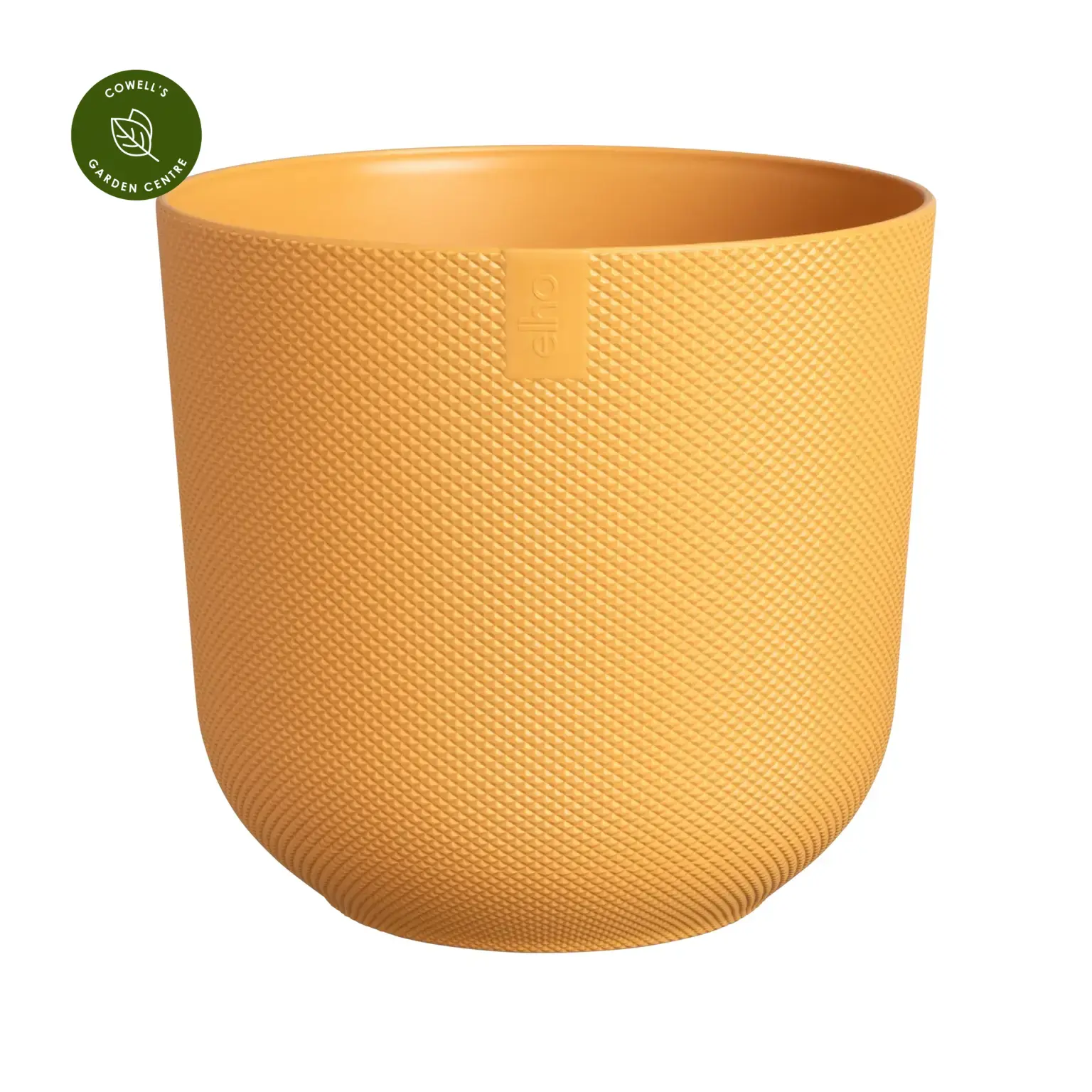Yellow pots clearance
