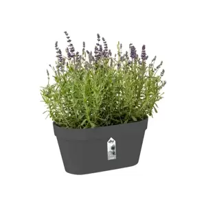 elho Loft Urban Green Anthracite Duo Wall Pot - image 2