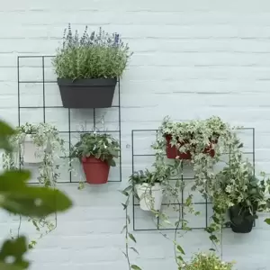 elho Loft Urban Green Anthracite Duo Wall Pot - image 3