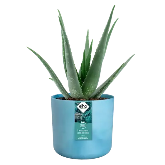 elho The Ocean Collection Atlantic Blue Pot - Ø14cm - image 4