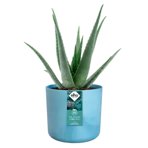 elho The Ocean Collection Atlantic Blue Pot - Ø14cm - image 4