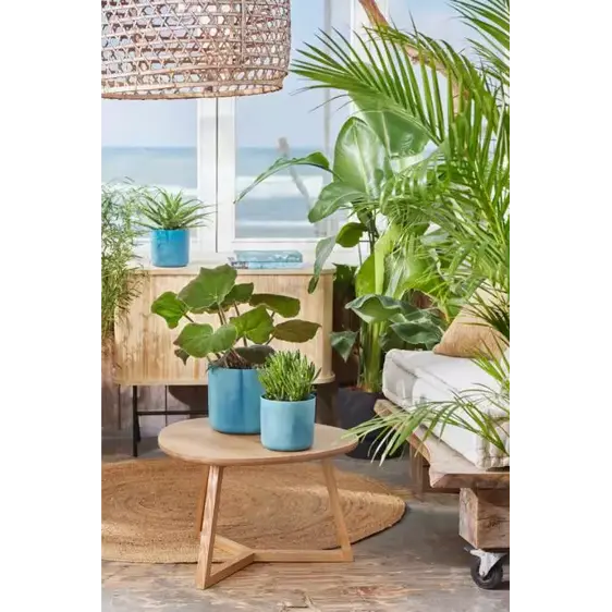 elho The Ocean Collection Atlantic Blue Pot - Ø18cm - image 8