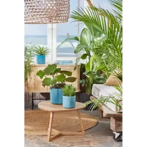 elho The Ocean Collection Atlantic Blue Pot - Ø18cm - image 8