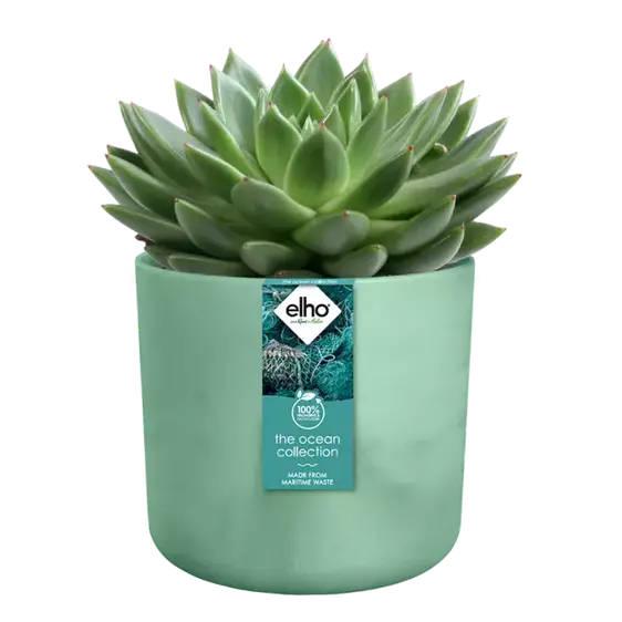 elho The Ocean Collection Pacific Green Pot - Ø14cm - image 2