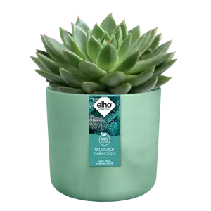 elho The Ocean Collection Pacific Green Pot - Ø14cm - image 2