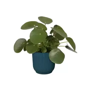 elho Vibes Fold Deep Blue Pot - Ø14cm - image 2