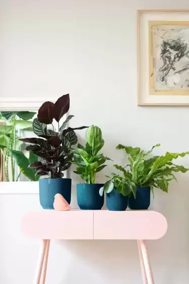 elho Vibes Fold Deep Blue Pot - Ø22cm - image 5