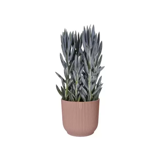 elho Vibes Fold Delicate Pink Pot - Ø22cm - image 3