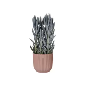 elho Vibes Fold Delicate Pink Pot - Ø14cm - image 3