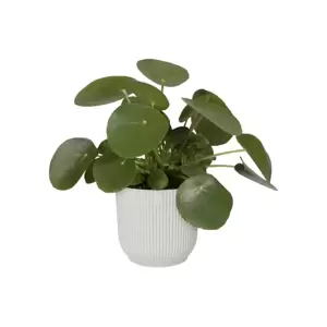 elho Vibes Fold Silky White Pot - Ø16cm - image 2