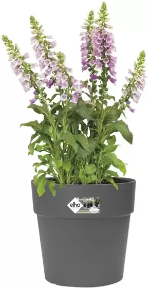 elho Vibia Anthracite Straight Pot Ø30cm - image 3