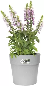 elho Vibia Living Concrete Straight Pot Ø30cm - image 3