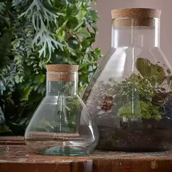 Emily Terrarium Jar - Ø29cm - image 2