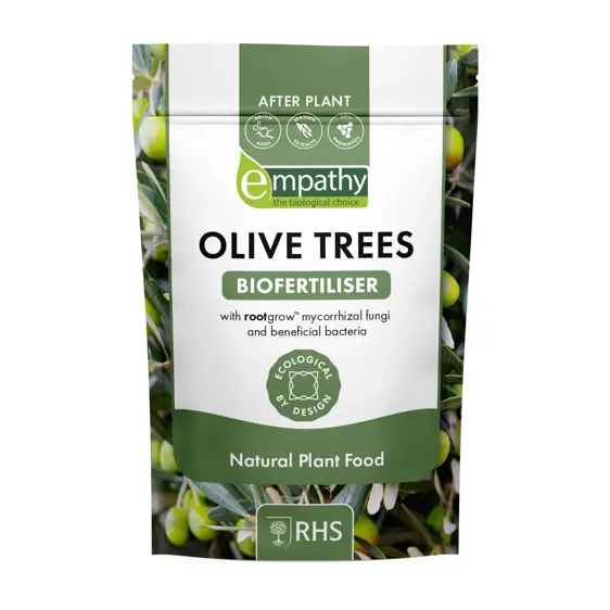 Empathy After Plant Olive Tree Food