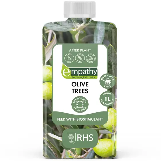 Empathy After Plant Olive Tree Liquid Feed 1L