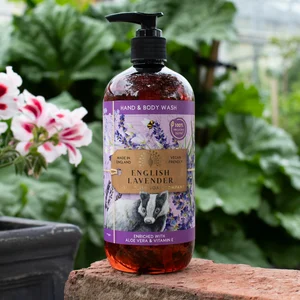 English Lavender Anniversary Hand & Body Wash
