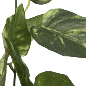 Epipremnum Aureum Artificial Garland