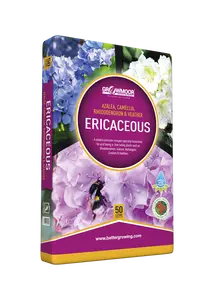 Ericaceous Compost