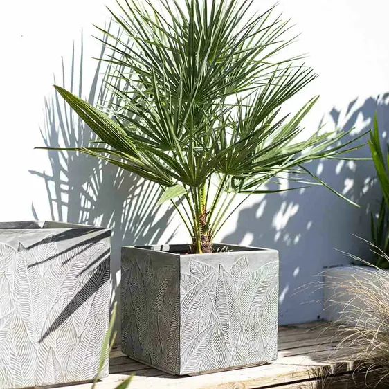 Etched Palm Cube Planter Ø30cm - image 2