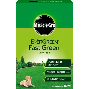 EverGreen Fast Green Lawn Food 80m²
