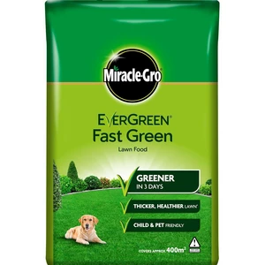 EverGreen Fast Green Lawn Food 400m²
