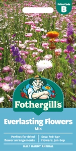 Everlasting Flowers Mix - image 1