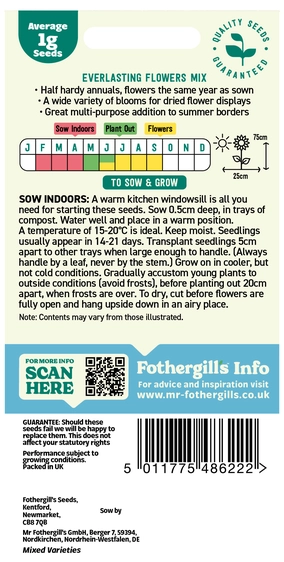 Everlasting Flowers Mix - image 2