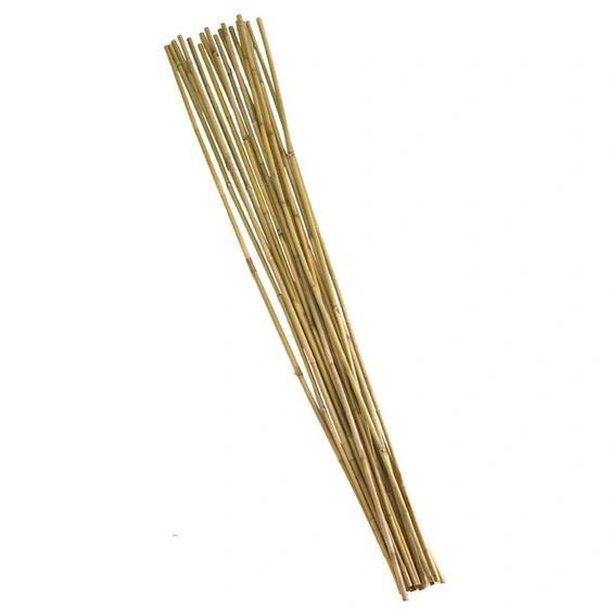 Extra Thick Bamboo Cane Bundle - 210cm - image 2