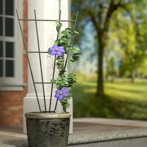Fan Pot Trellis - image 1