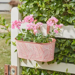 Fence & Balcony Fern Hanging Planter - Terracotta