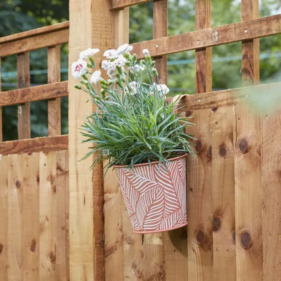 Fence & Balcony Fern Hanging Pot - Terracotta