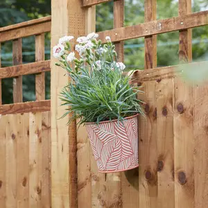 Fence & Balcony Fern Hanging Pot - Terracotta