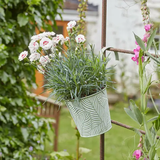 Fence & Balcony Fern Hanging Pot - Sage