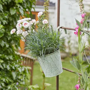 Fence & Balcony Fern Hanging Pot - Sage