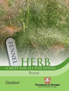 Fennel Bronze - image 1