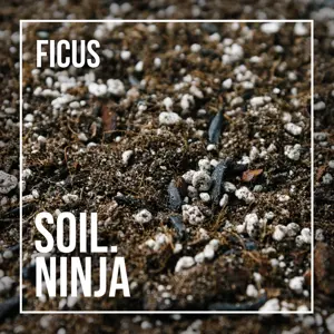 Ficus Soil Mix Blend 2.5L - image 2