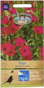 Flax (Linum) Scarlet - image 1