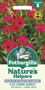 Flax (Linum) Scarlet - image 1