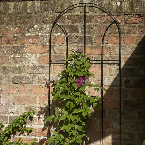 Flora Trellis - Large - image 1