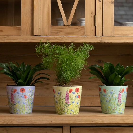 Floral Meadow Eco Pot Set