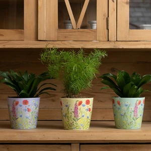 Floral Meadow Eco Pot Set
