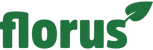 Florus