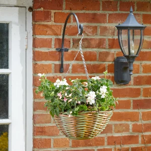 Forester Hanging Basket - image 1