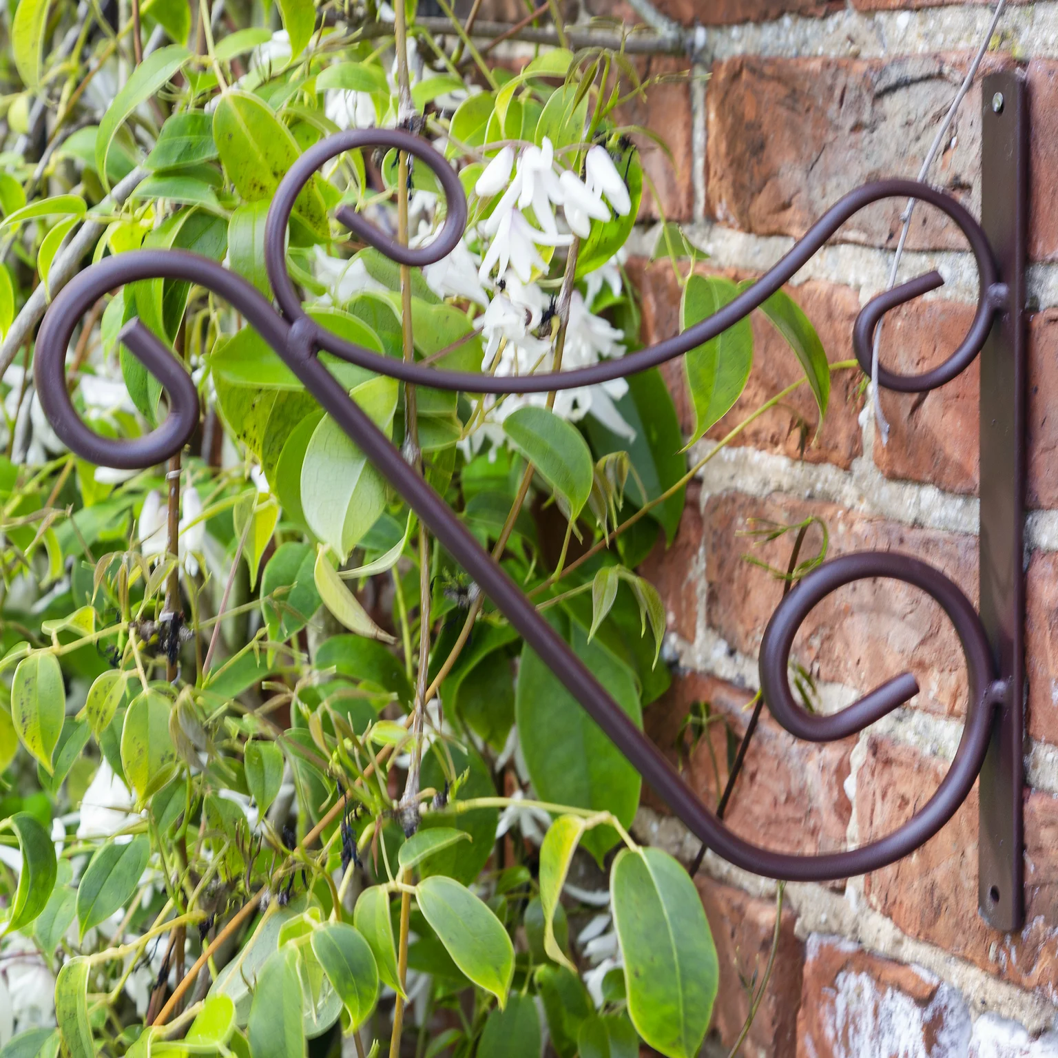 Hanging Basket Bracket 40cm Cowell's Garden Centre Woolsington