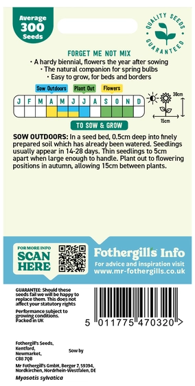 Forget Me Not Mixed Seeds - image 2