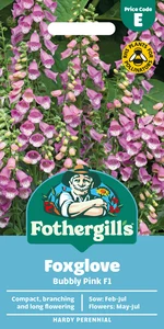 Foxglove Bubbly Pink F1 Seeds